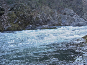 渡良瀬川の流れ